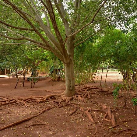 Our Native Village Gādigarpālya Exterior foto